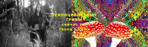 амф Балахна