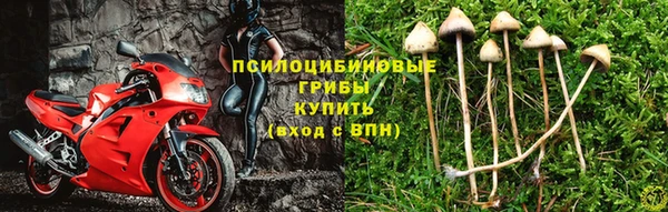 бутират Баксан