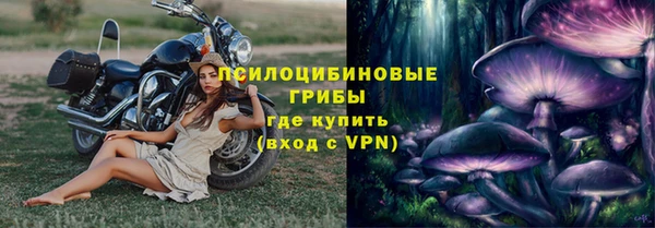 амф Балахна