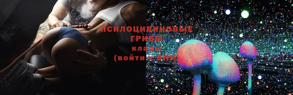 амф Балахна