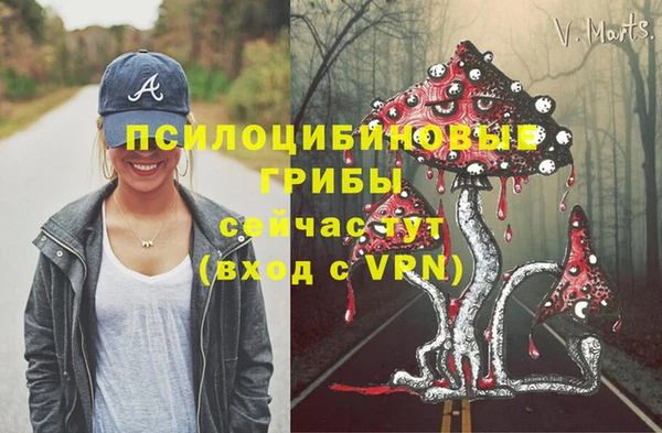 амф Балахна